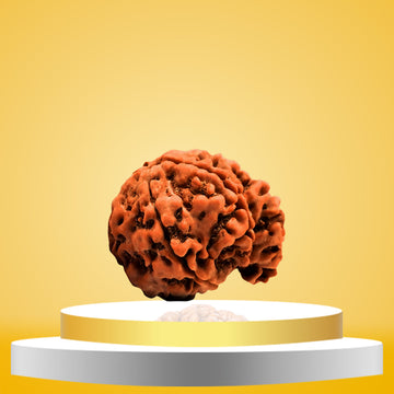 Ganesh Rudraksha