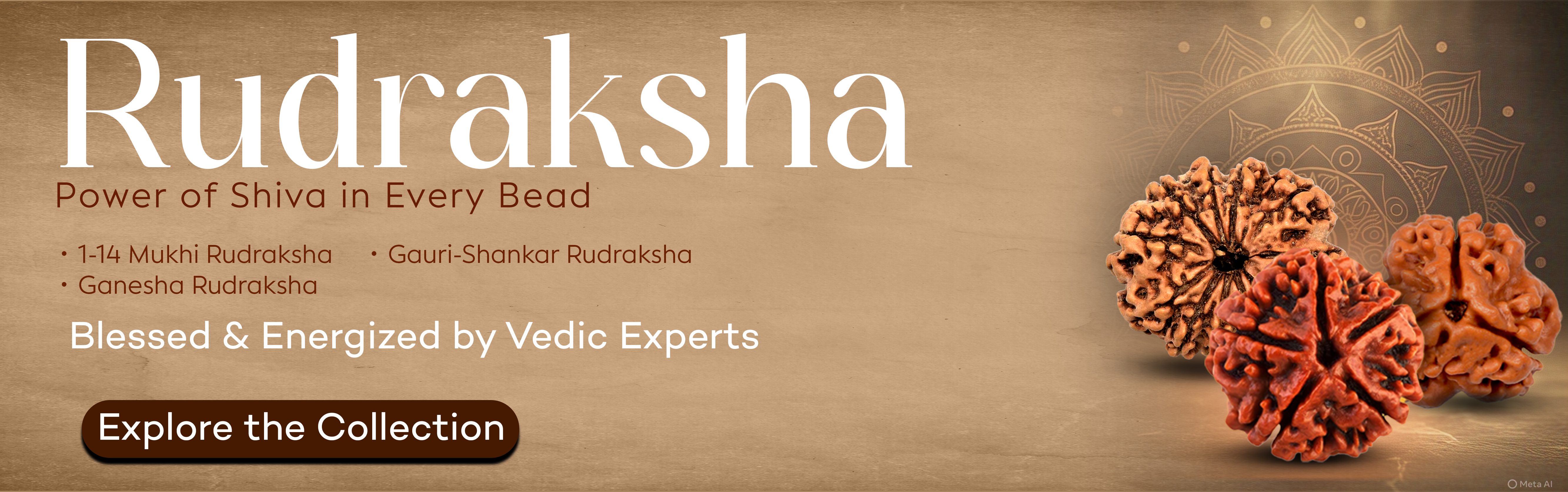 Fallback Rudraksha Banner